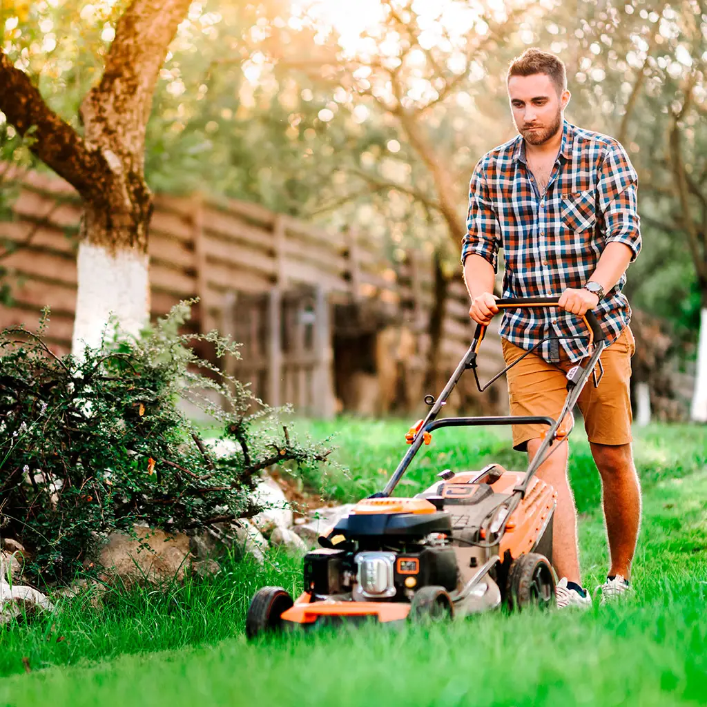 علف زن چیست؟ راهنمای کامل انواع، کاربردها و راهنمای خرید